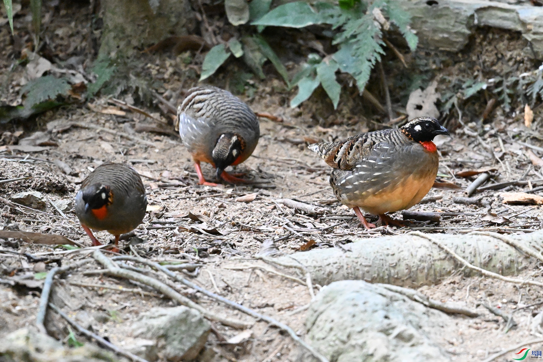 DSC_7304.JPG