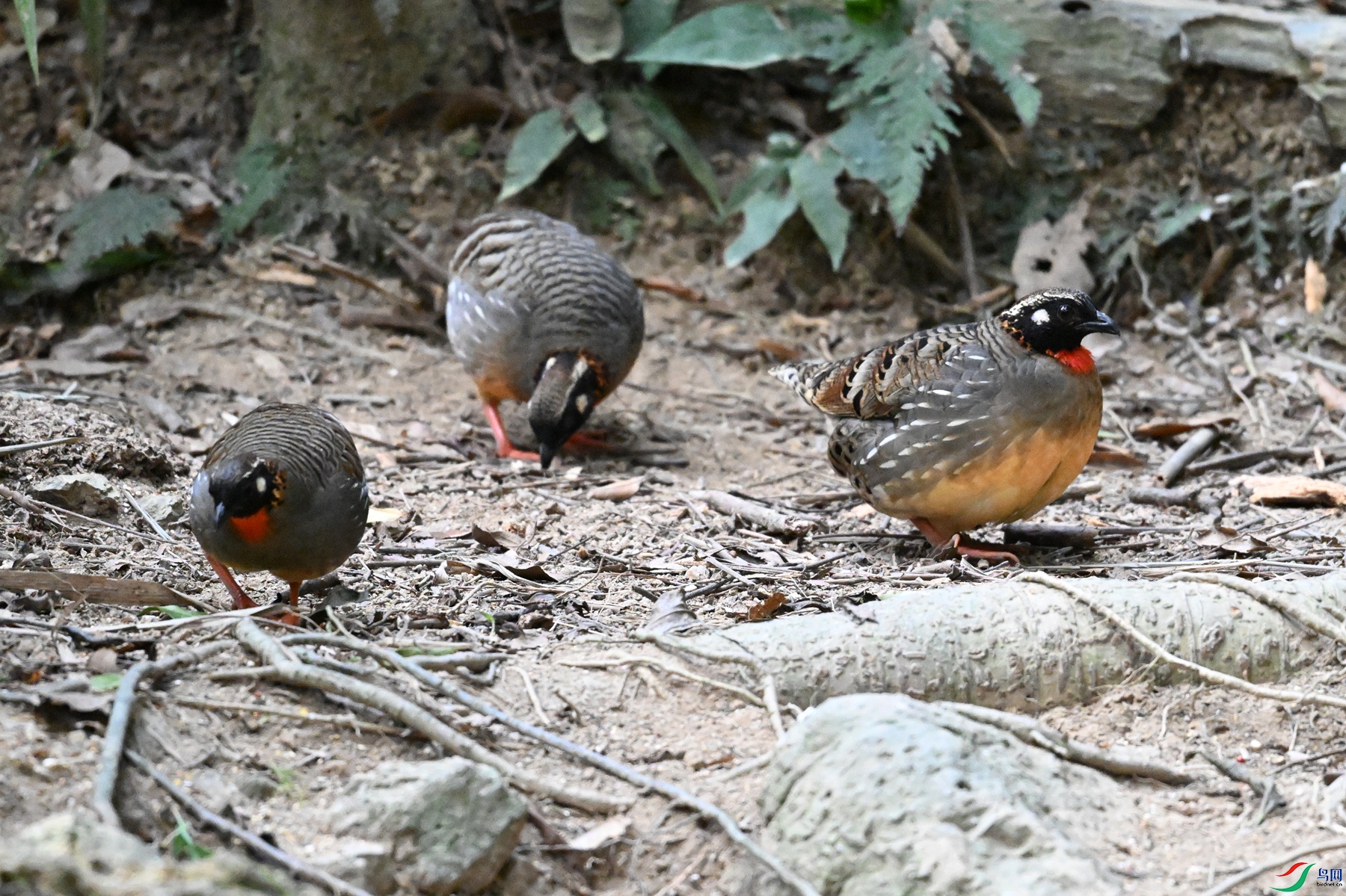 DSC_7306.JPG