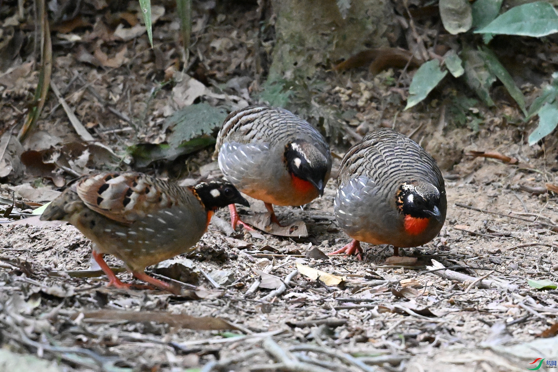 DSC_7288.JPG