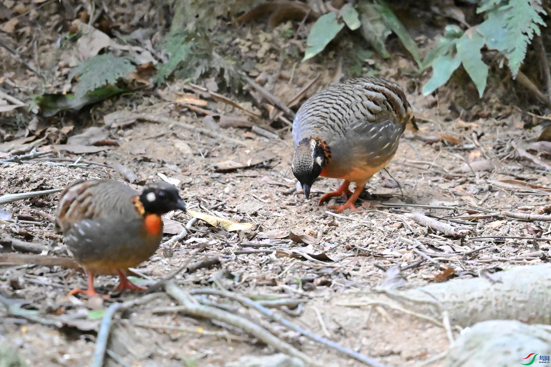 DSC_7308.JPG