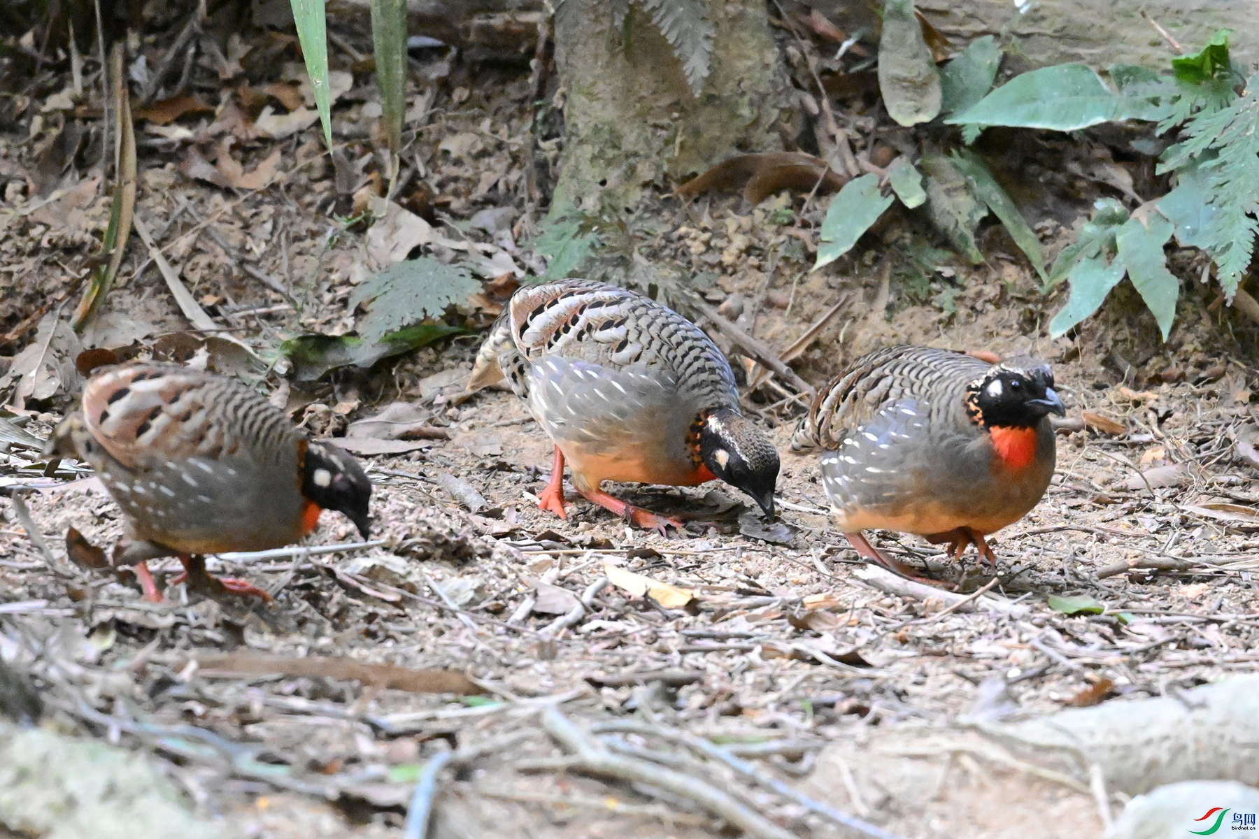DSC_7290.JPG