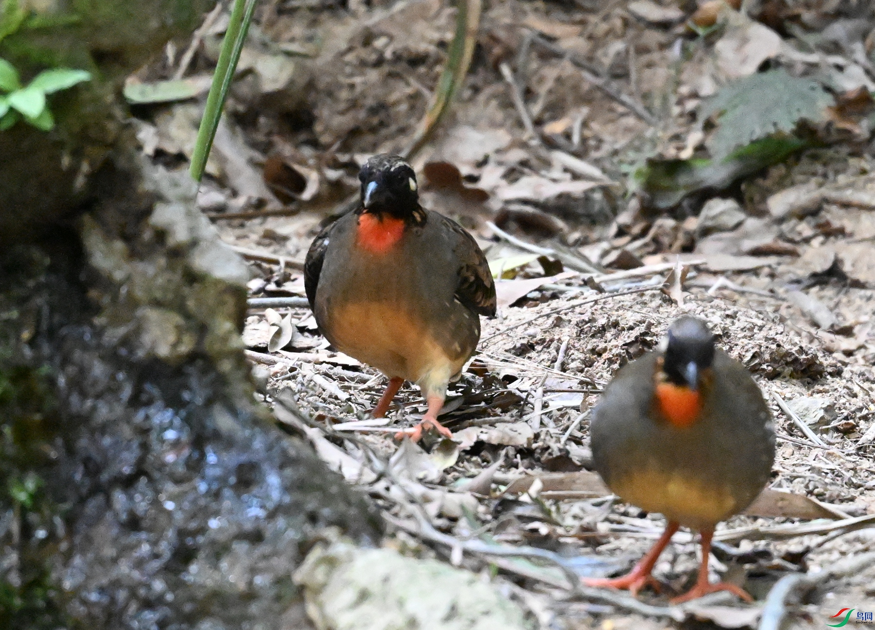 DSC_7329.JPG