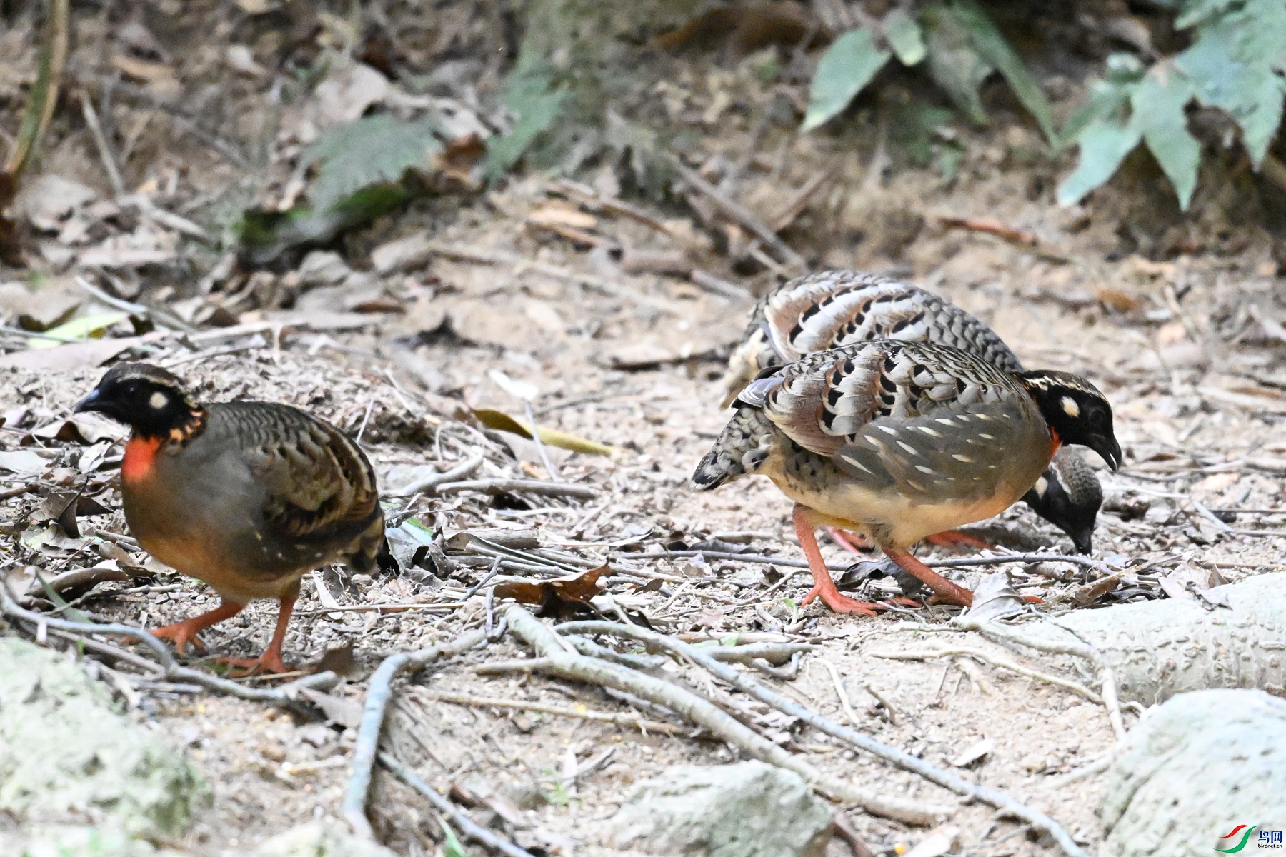 DSC_7361.JPG