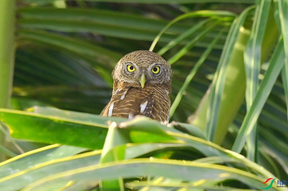 DSC_0373.JPG