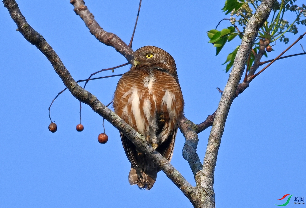 DSC_1565.JPG
