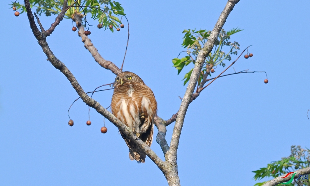 DSC_1558.JPG