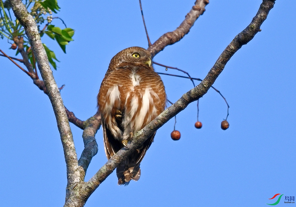 DSC_1561.JPG