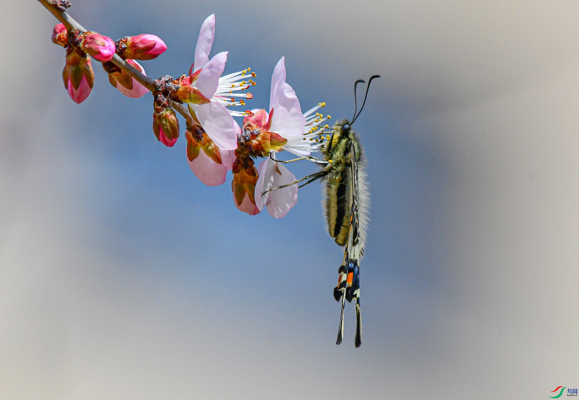 DSC_9701_��ͼ�� ����.jpg