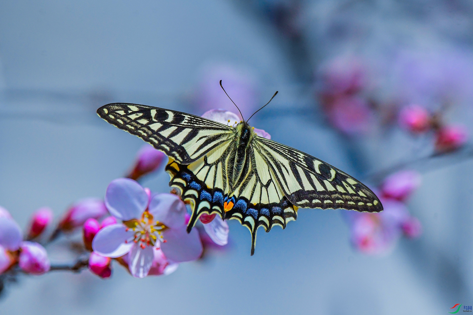 DSC_9732_��ͼ�� ����.jpg