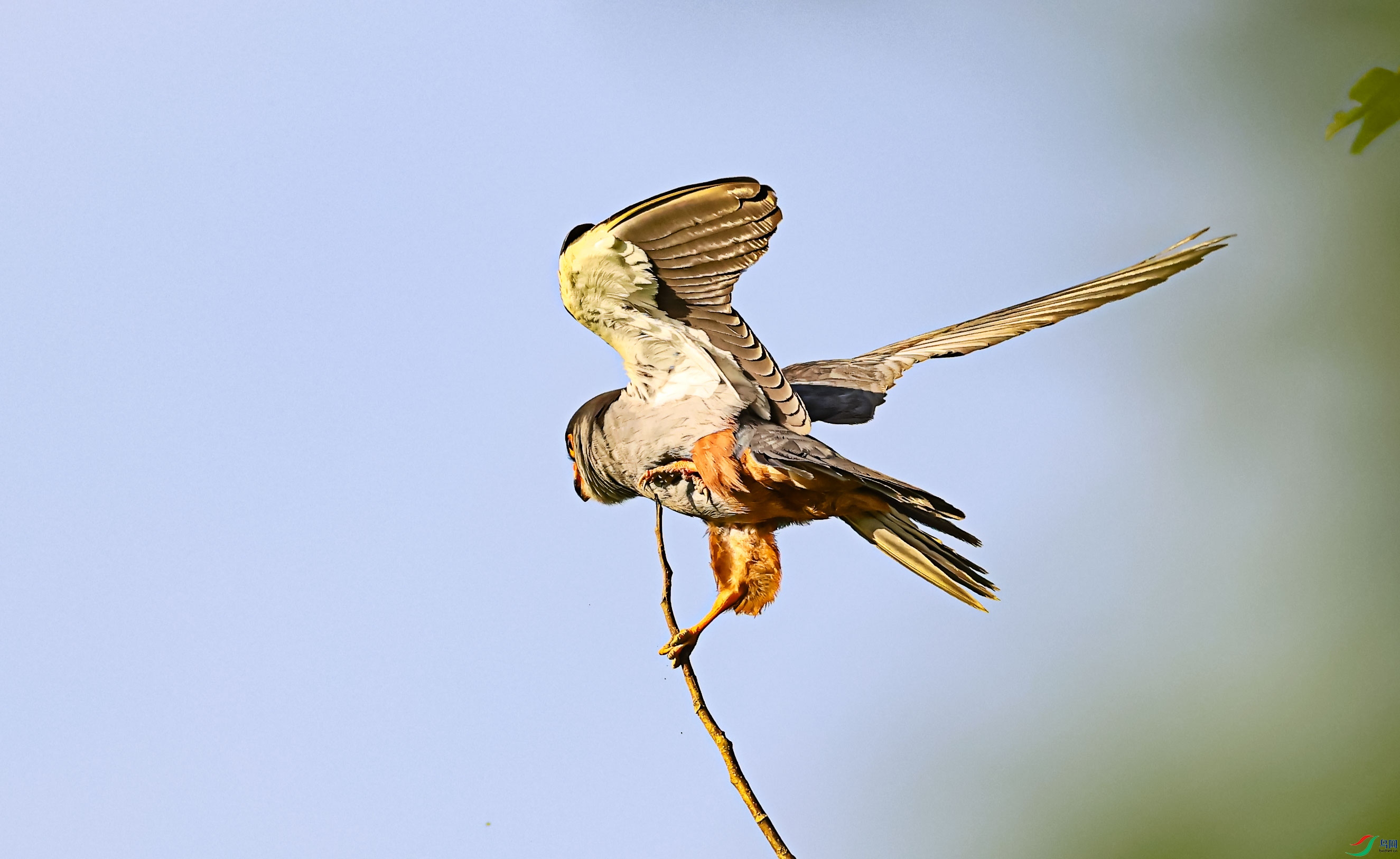 9S8A8411a.jpg