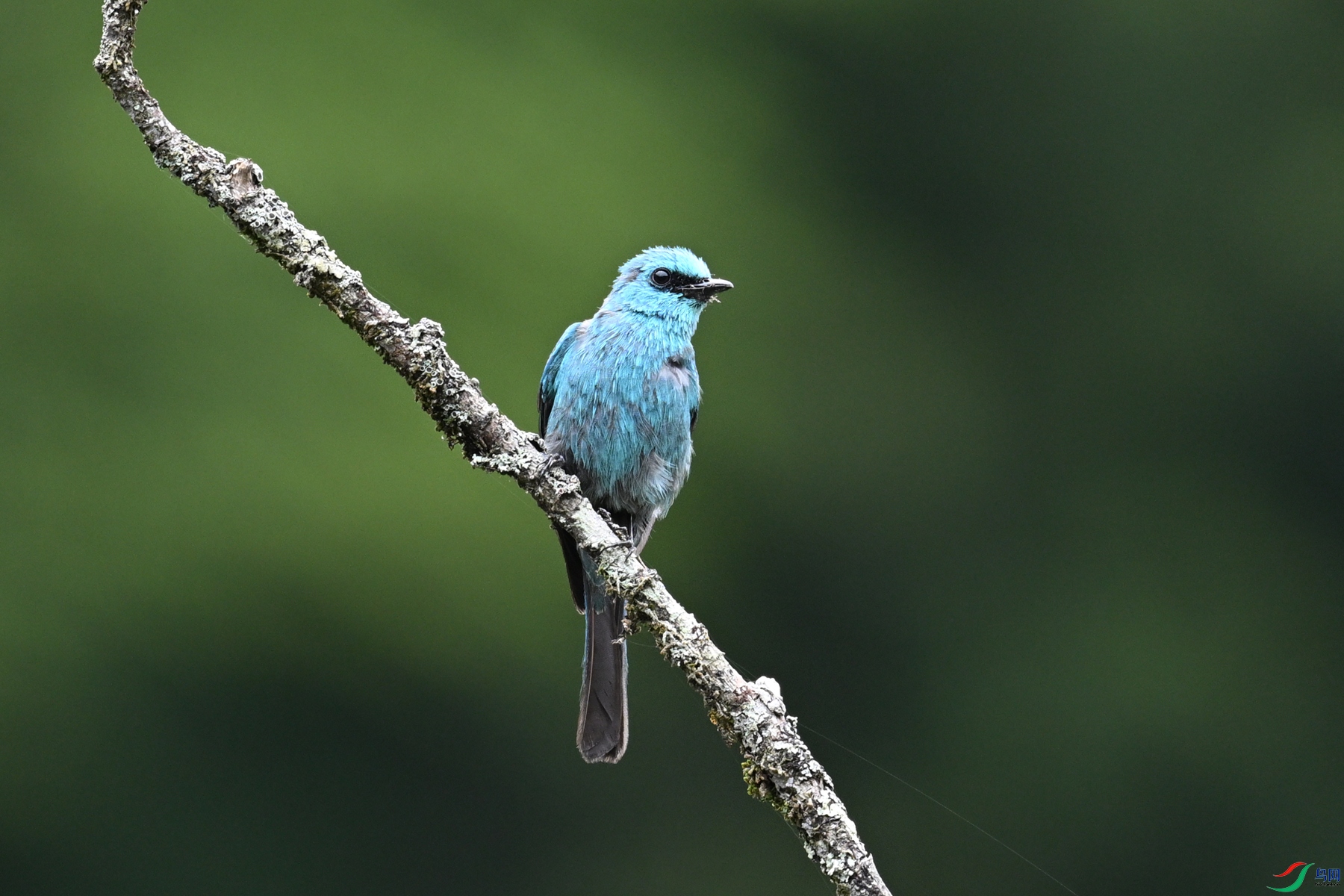 DSC_3244.JPG