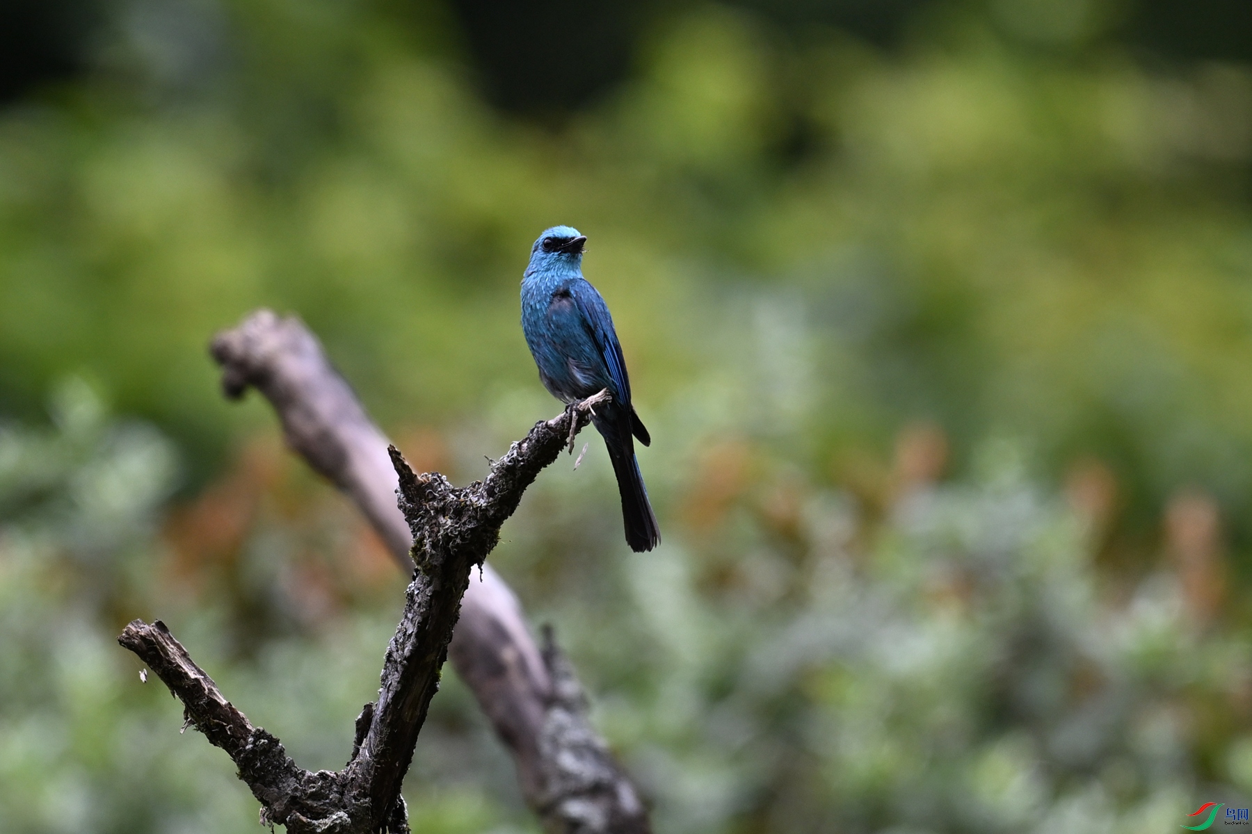 DSC_3258.JPG