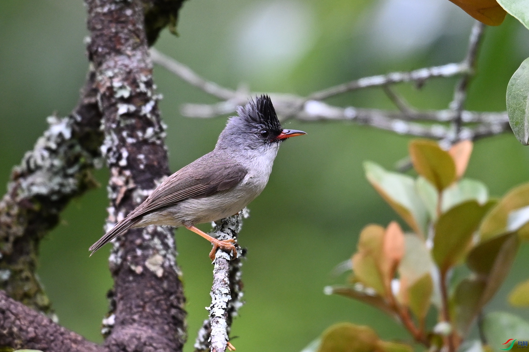DSC_3281.JPG