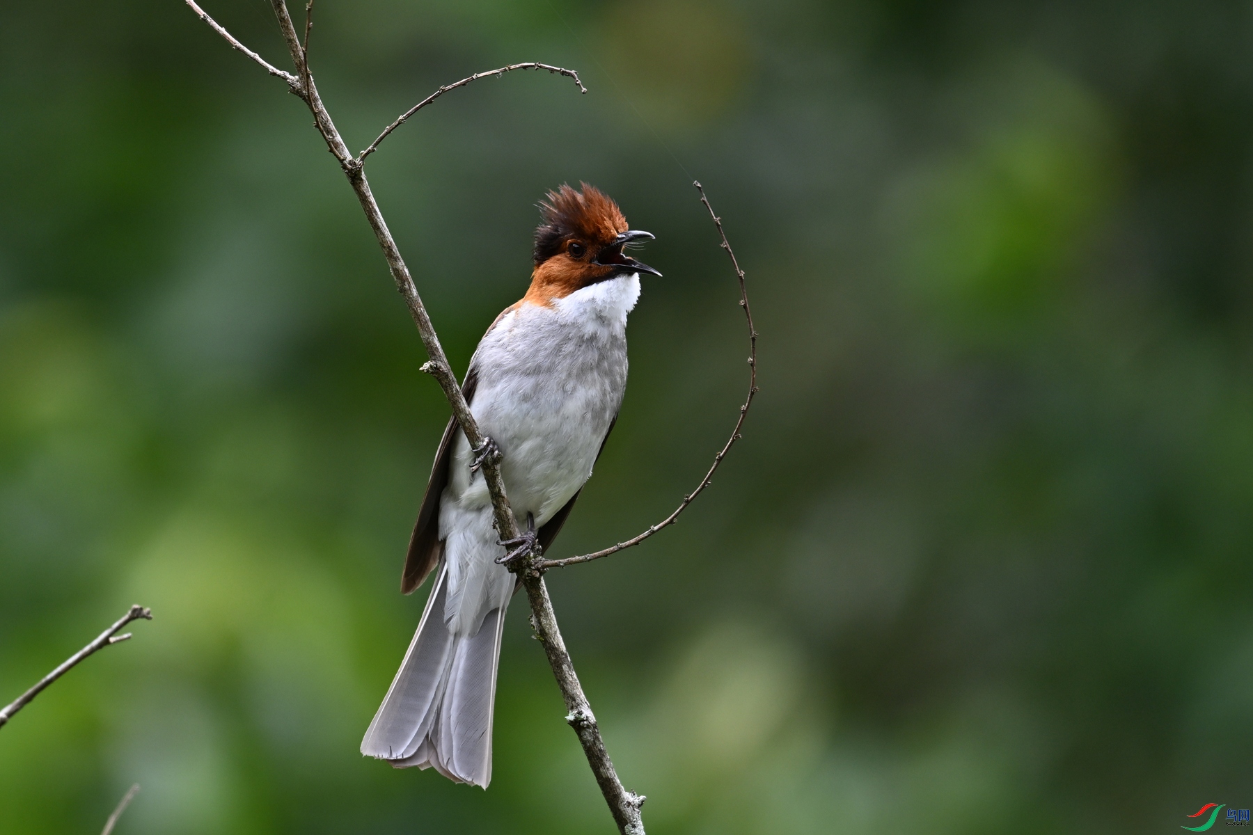 DSC_3320.JPG