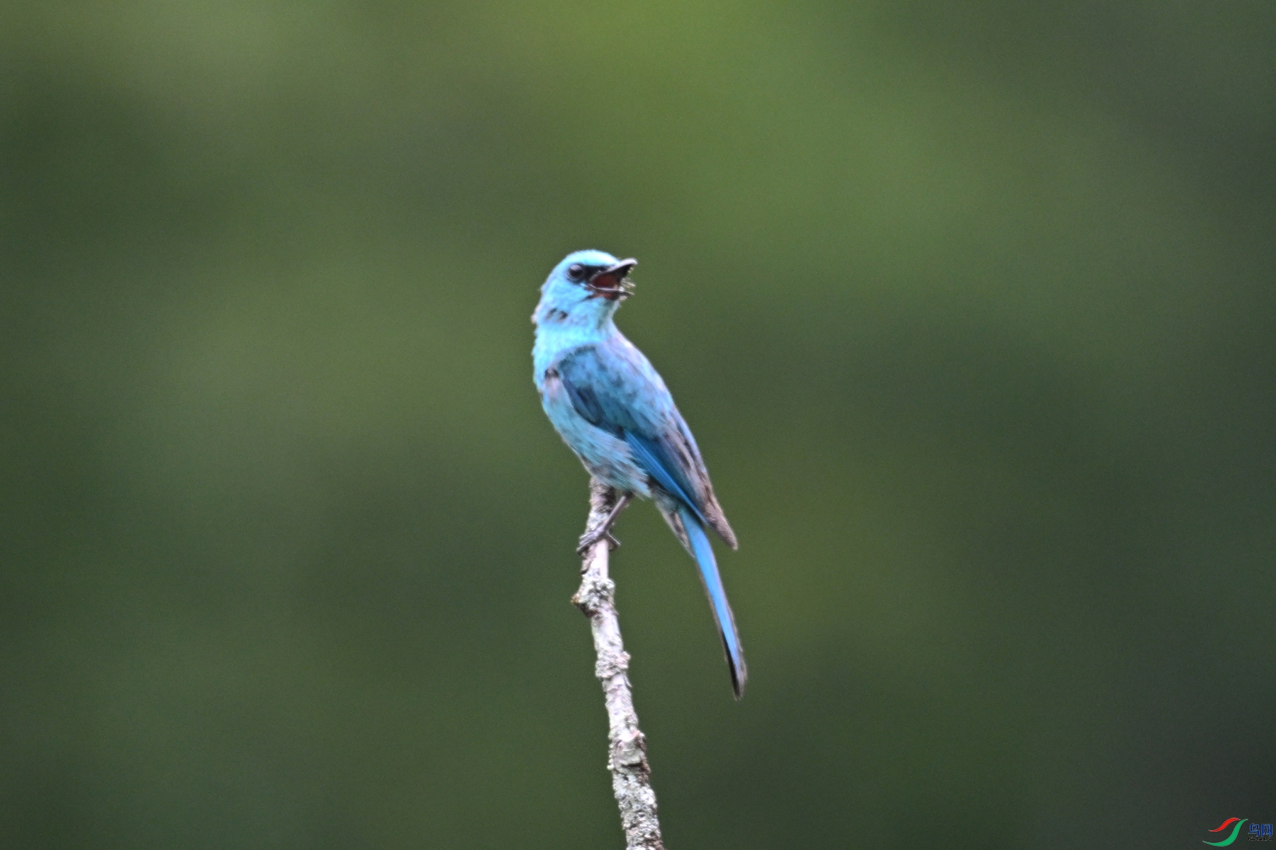 DSC_3184.JPG