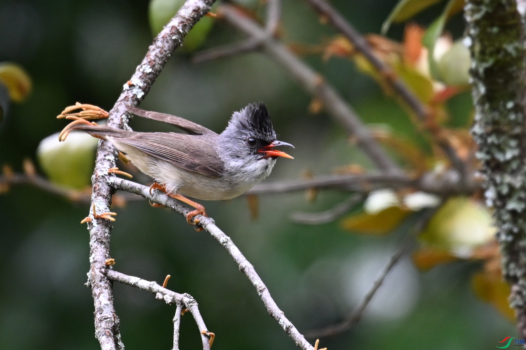 DSC_3286.JPG