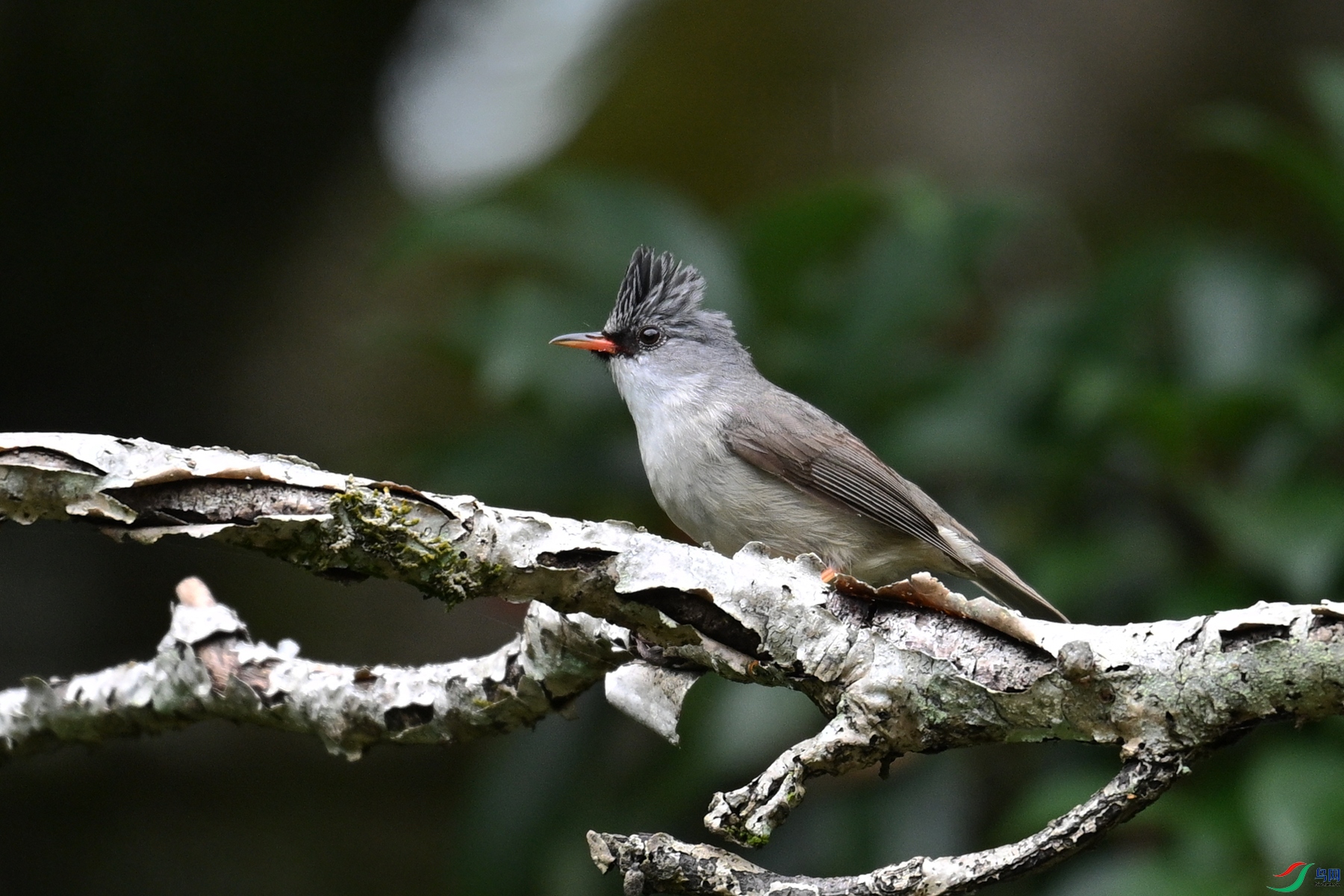 DSC_3306.JPG