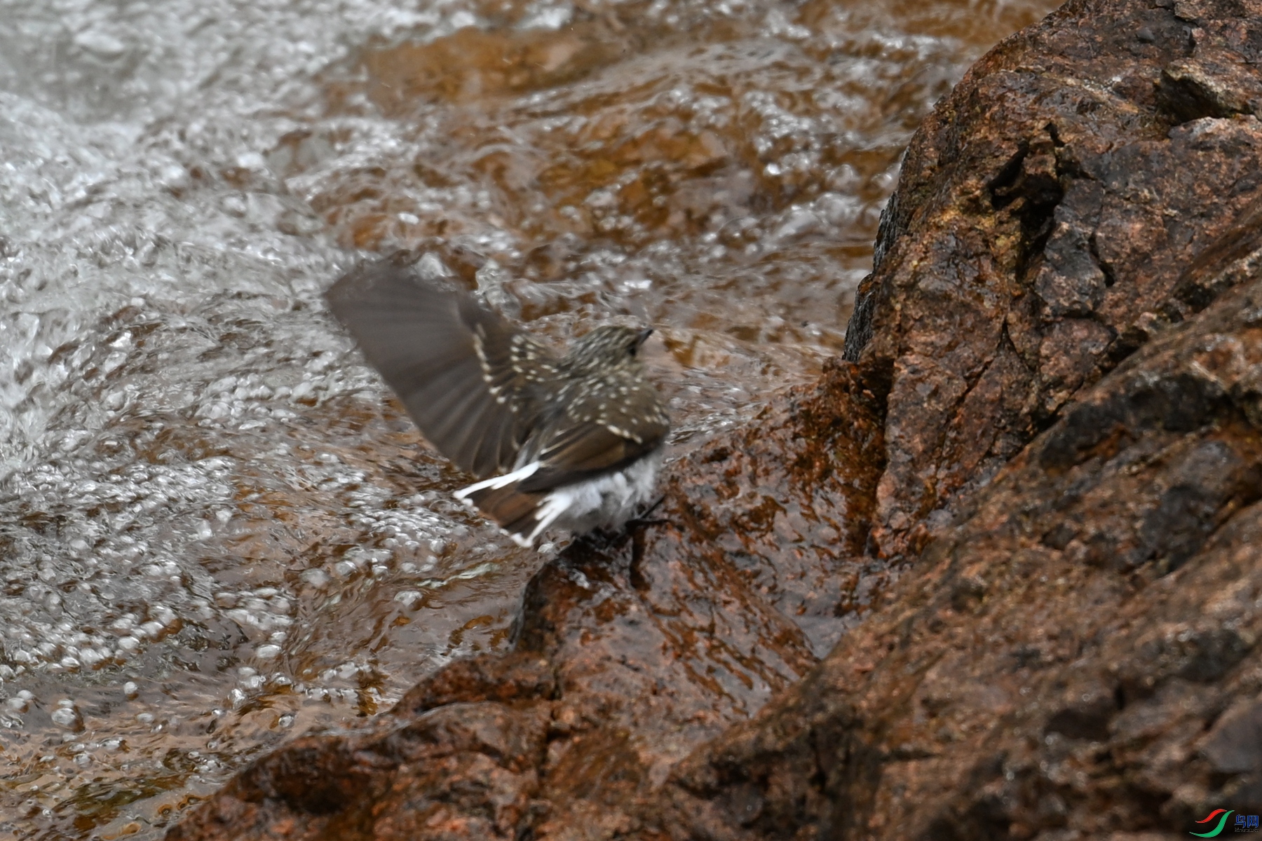 DSC_3266.JPG