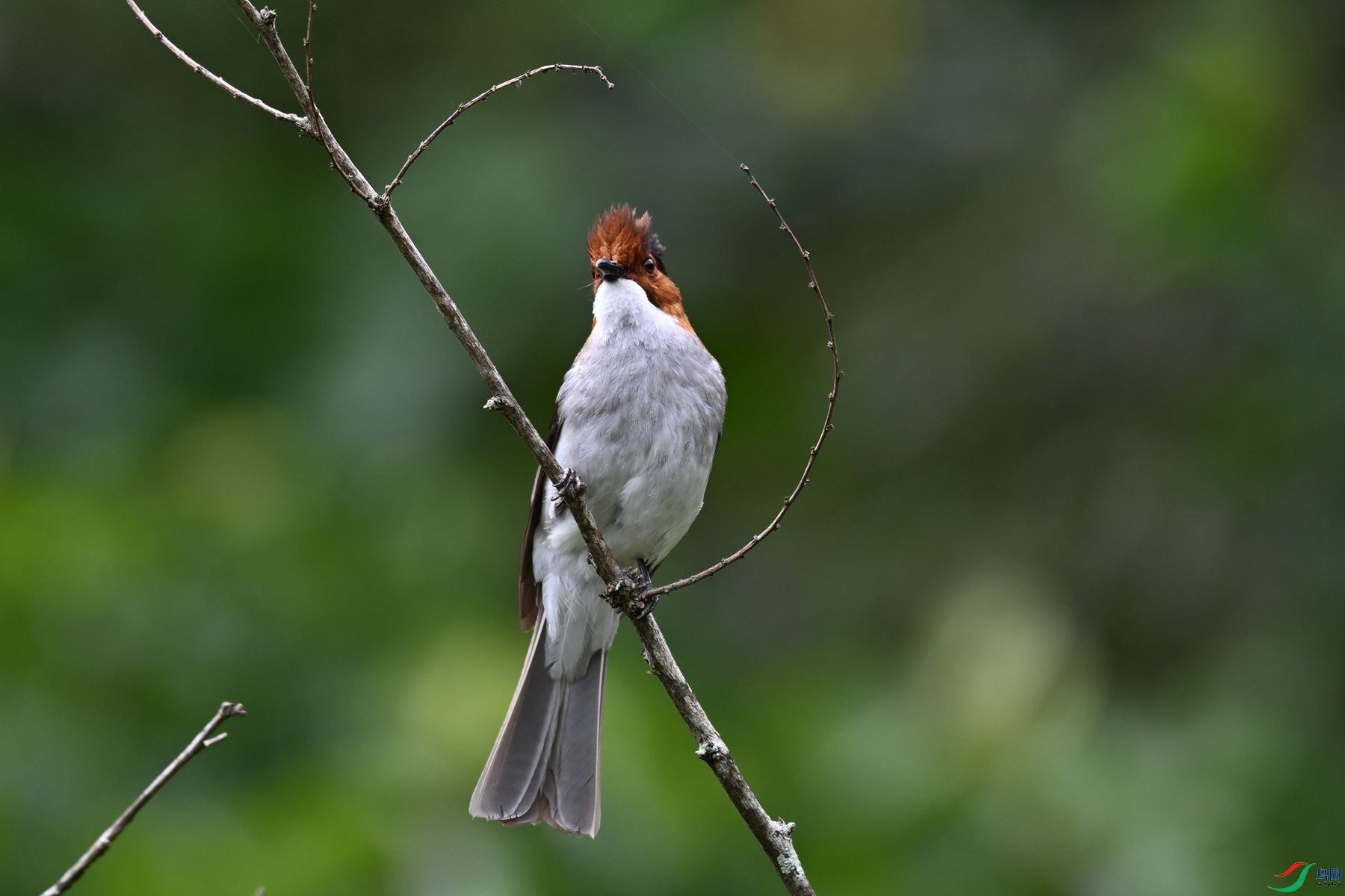 DSC_3312.JPG