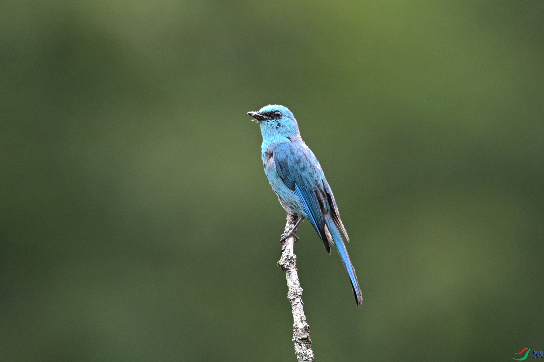 DSC_3186.JPG