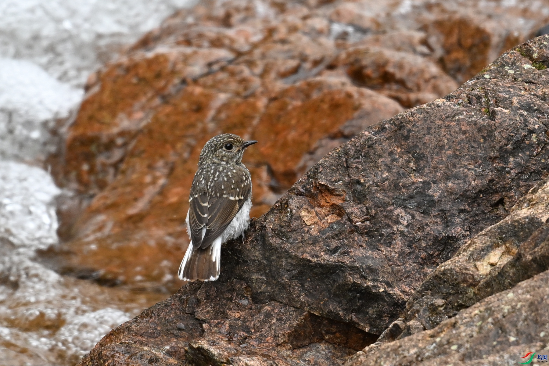 DSC_3270.JPG