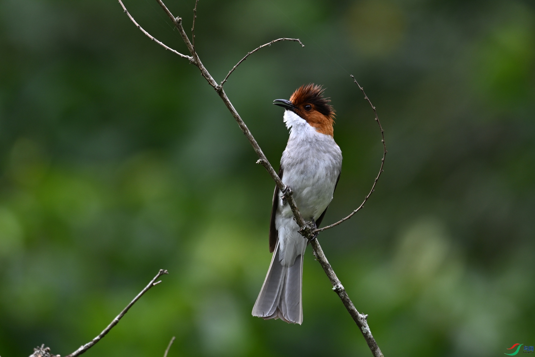 DSC_3319.JPG