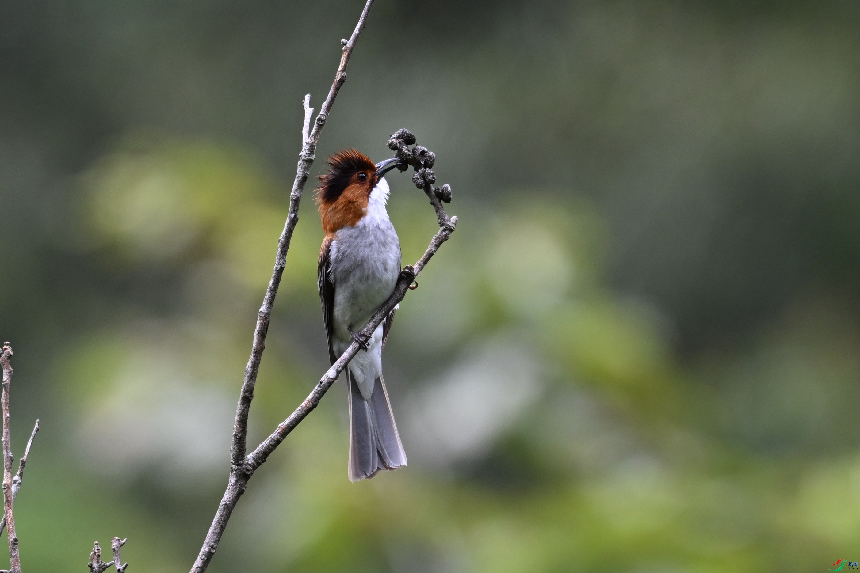 DSC_3341.JPG
