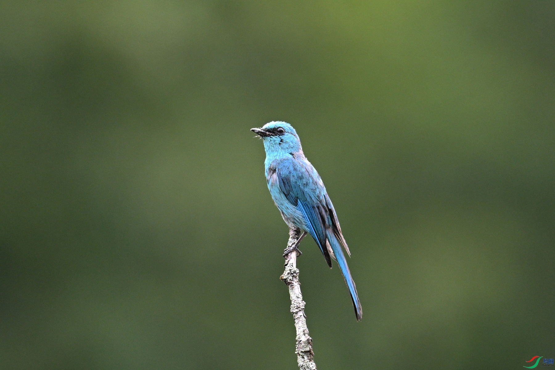DSC_3187.JPG