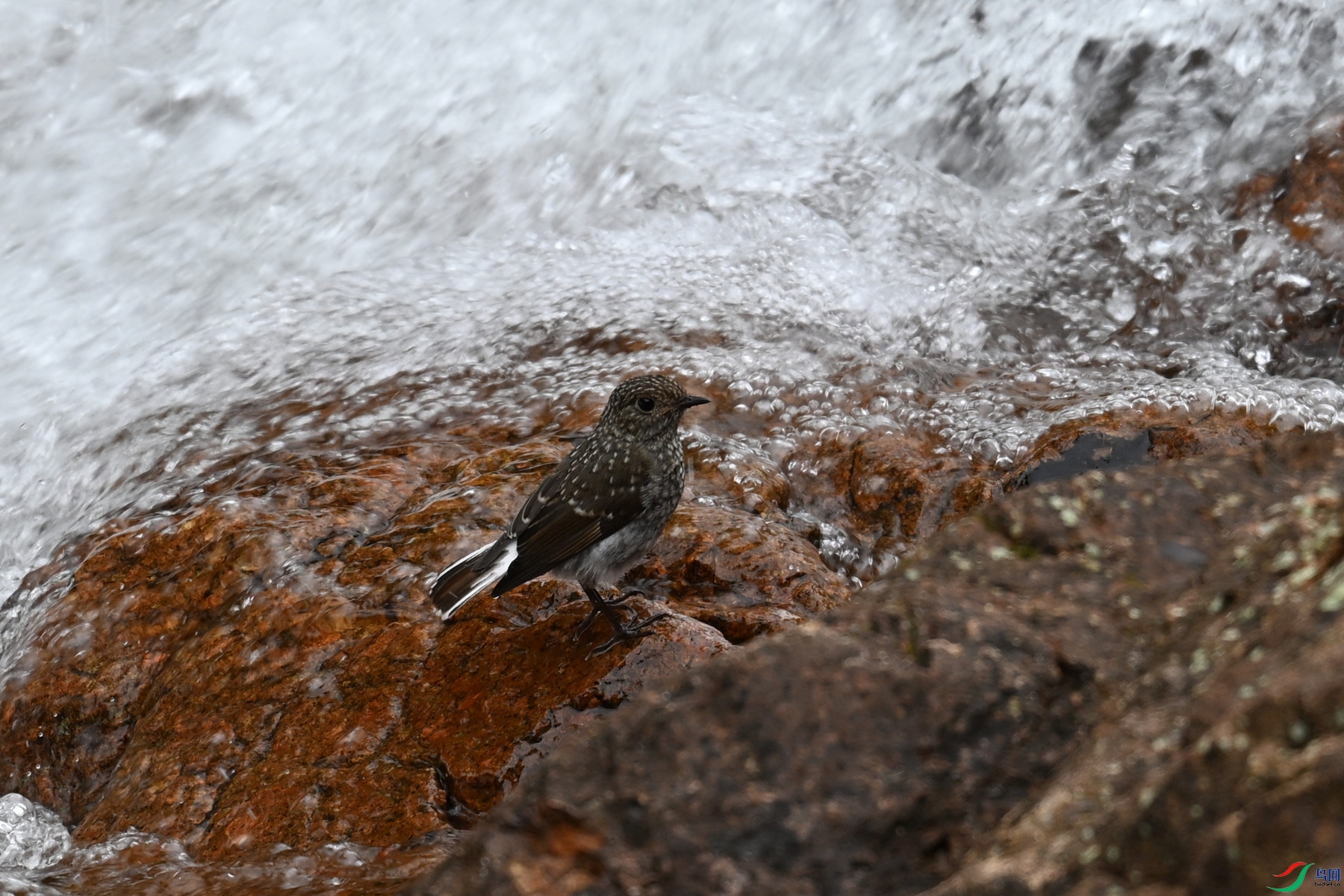 DSC_3273.JPG