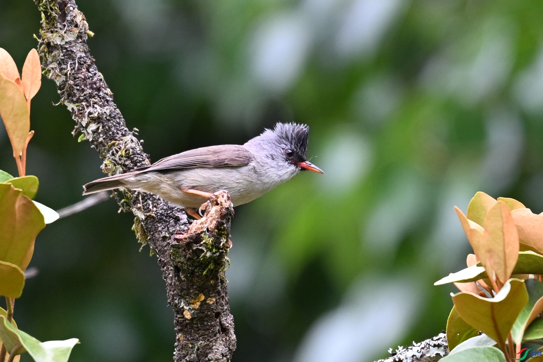 DSC_3299.JPG