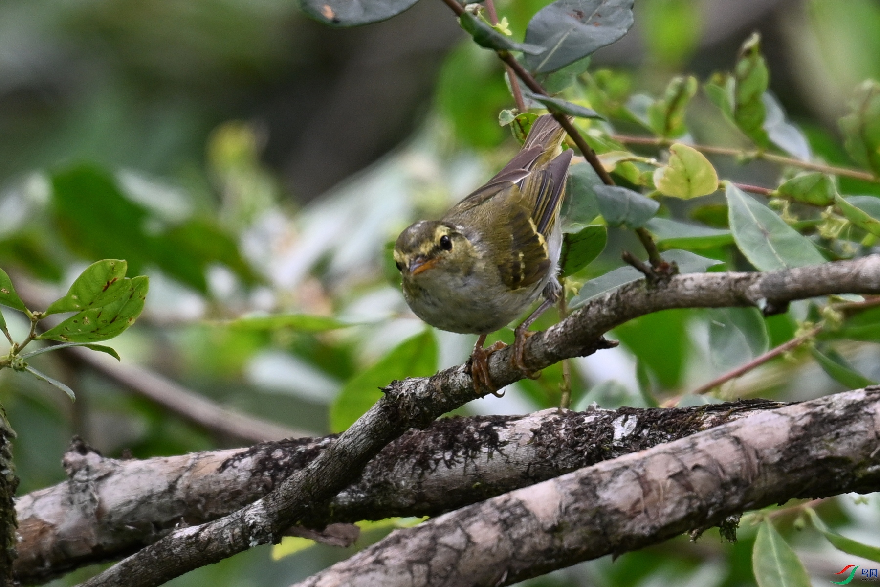 DSC_3326.JPG