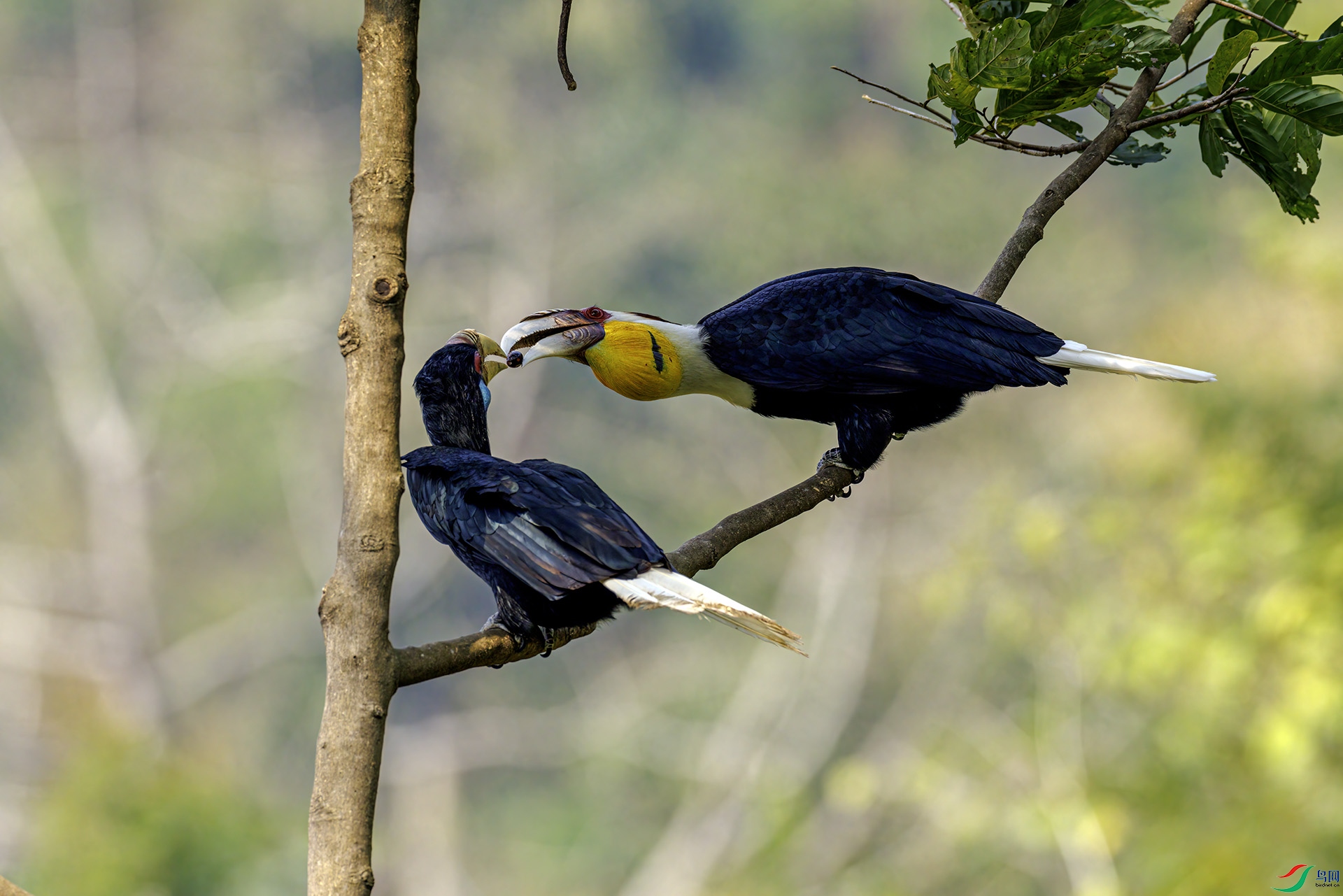 �������Ϭ��