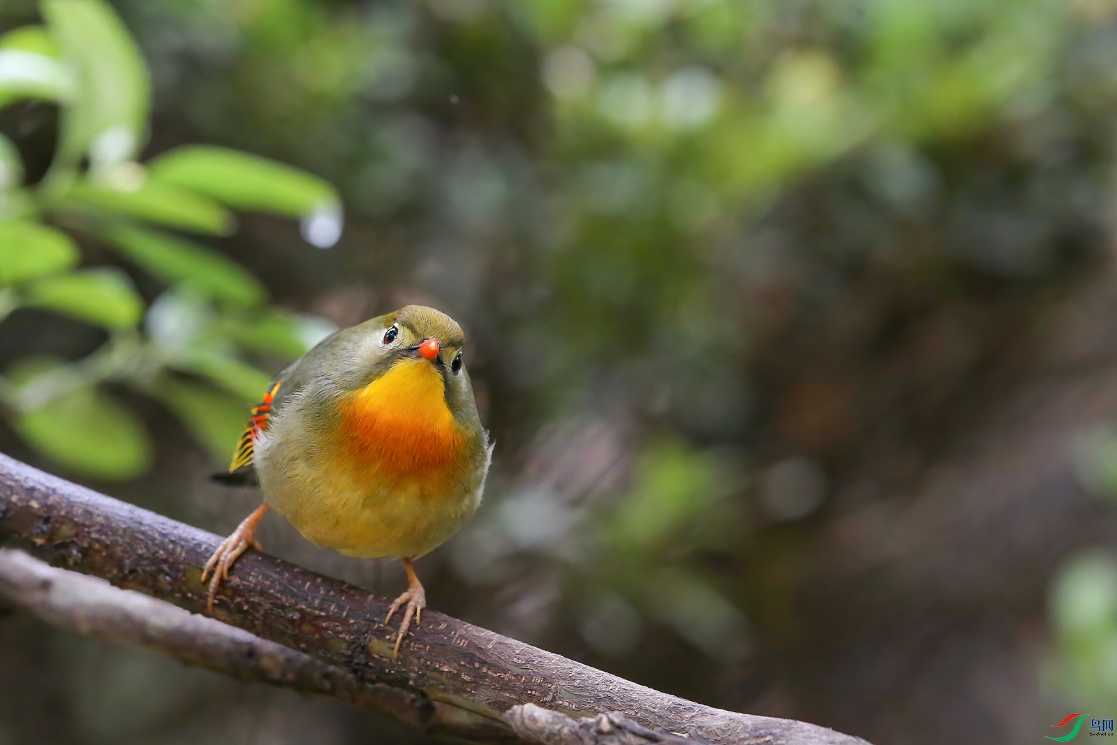 AQ4P8984-1.jpg