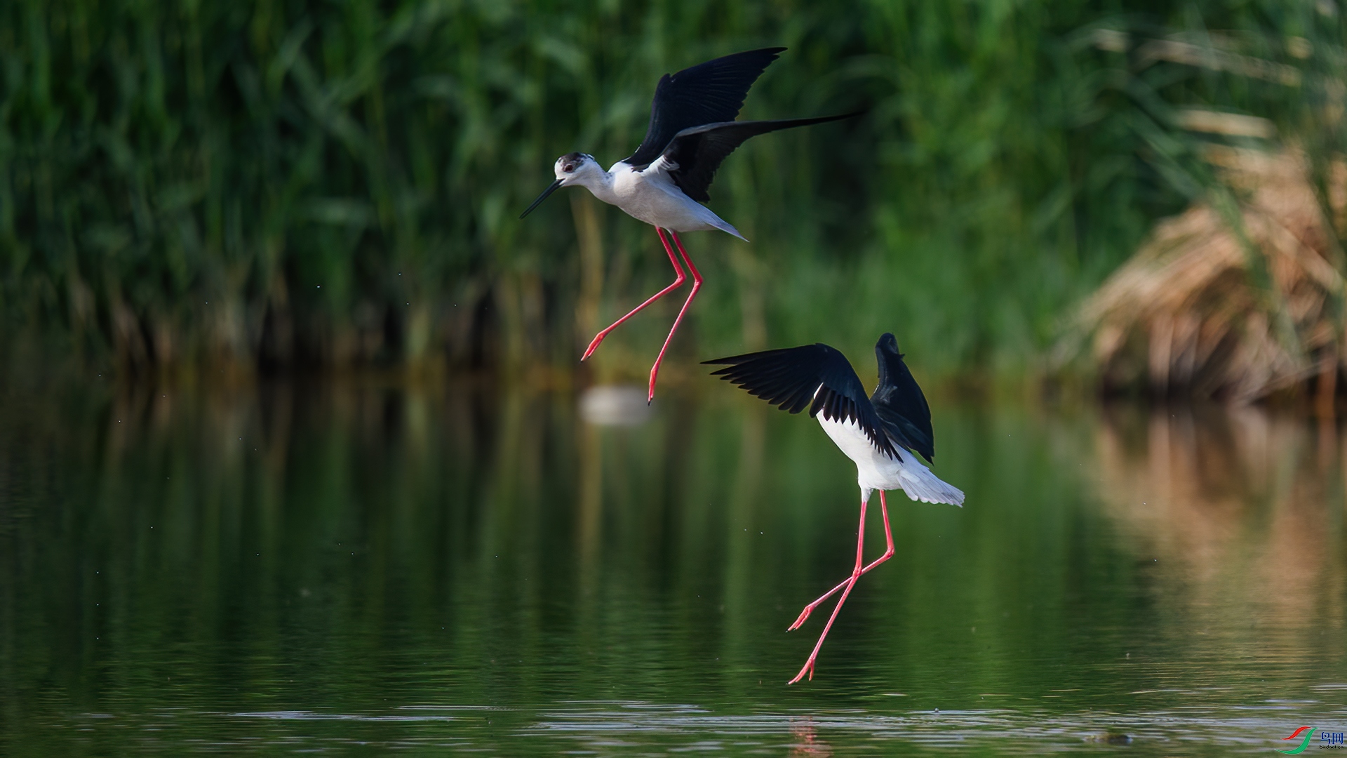 DSC_1500-20250712��.jpg
