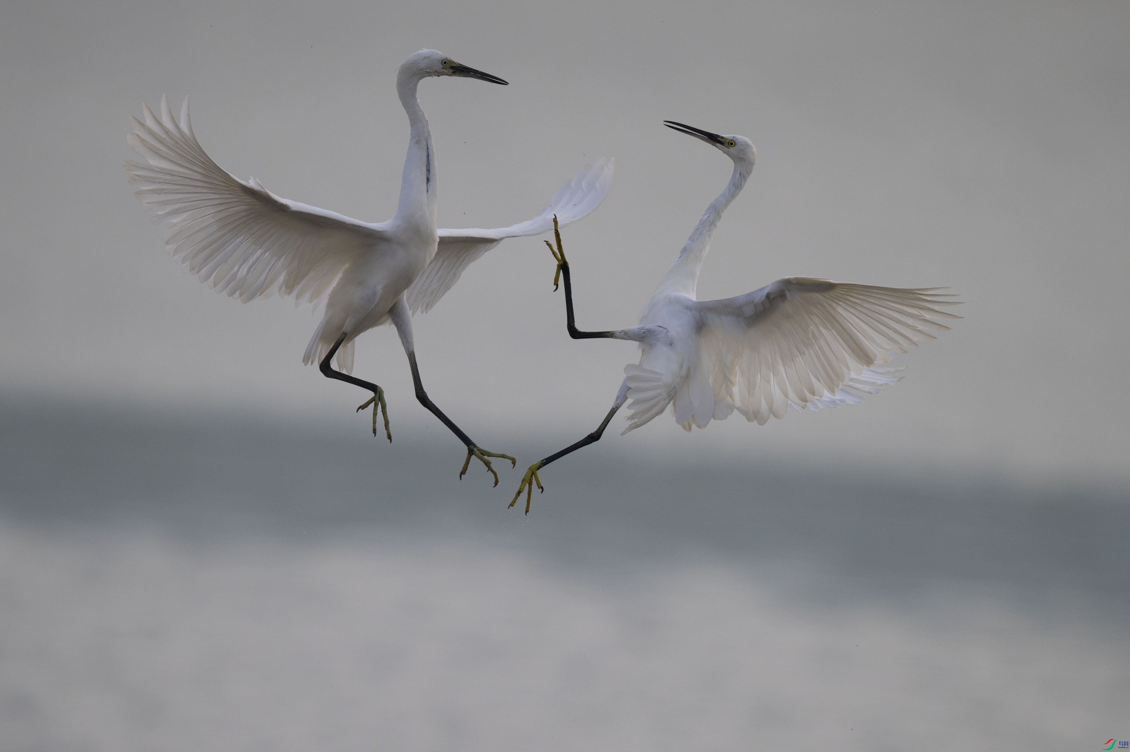 DSC_7207.jpg