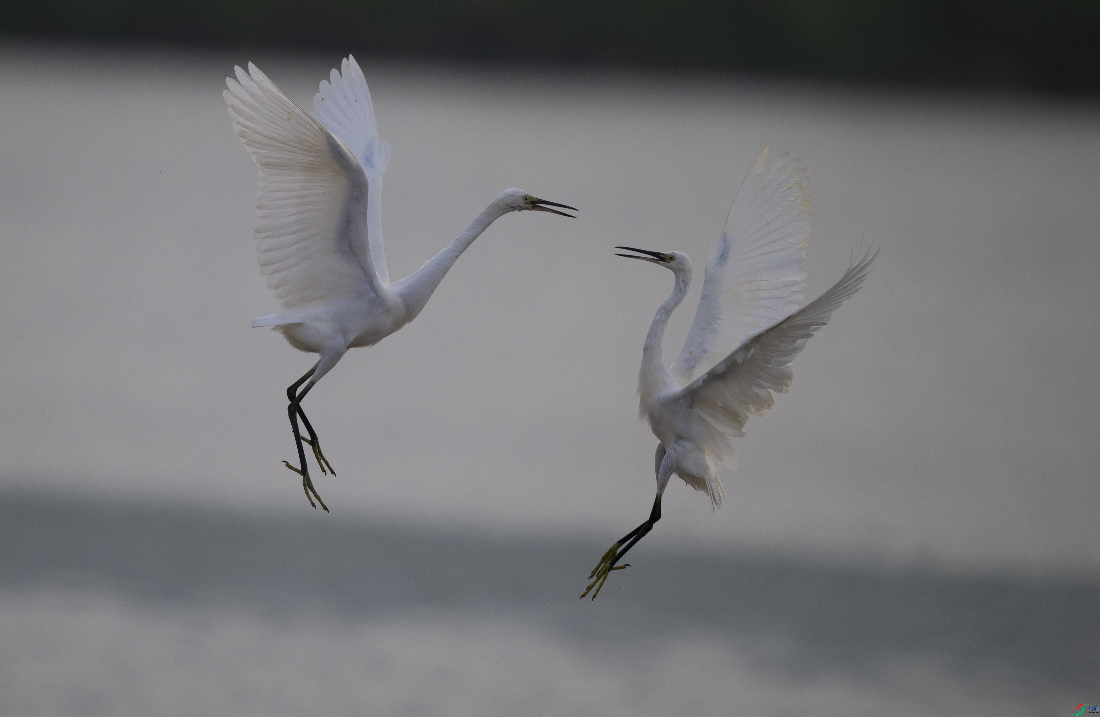 DSC_7209.jpg
