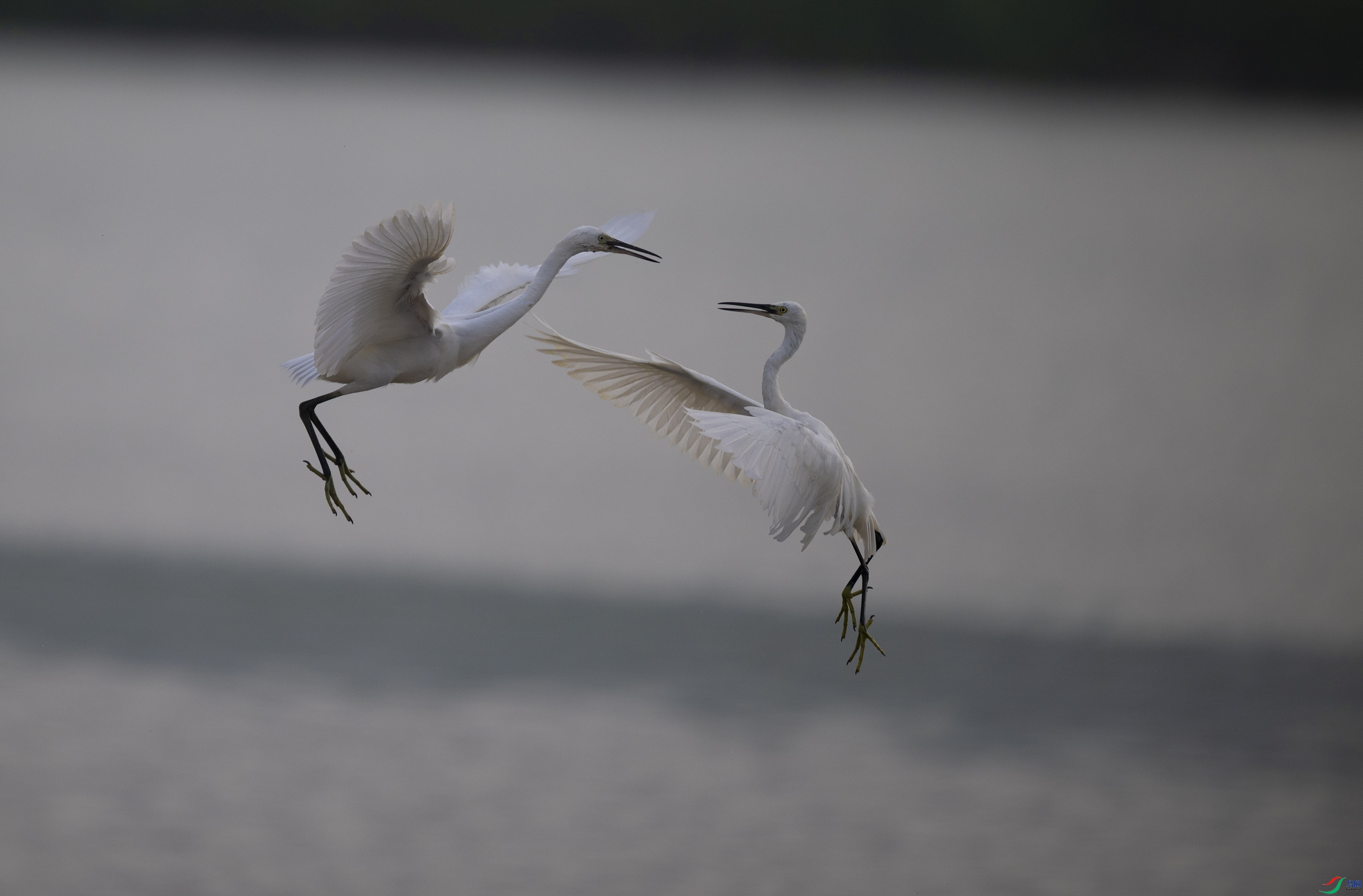 DSC_7210.jpg