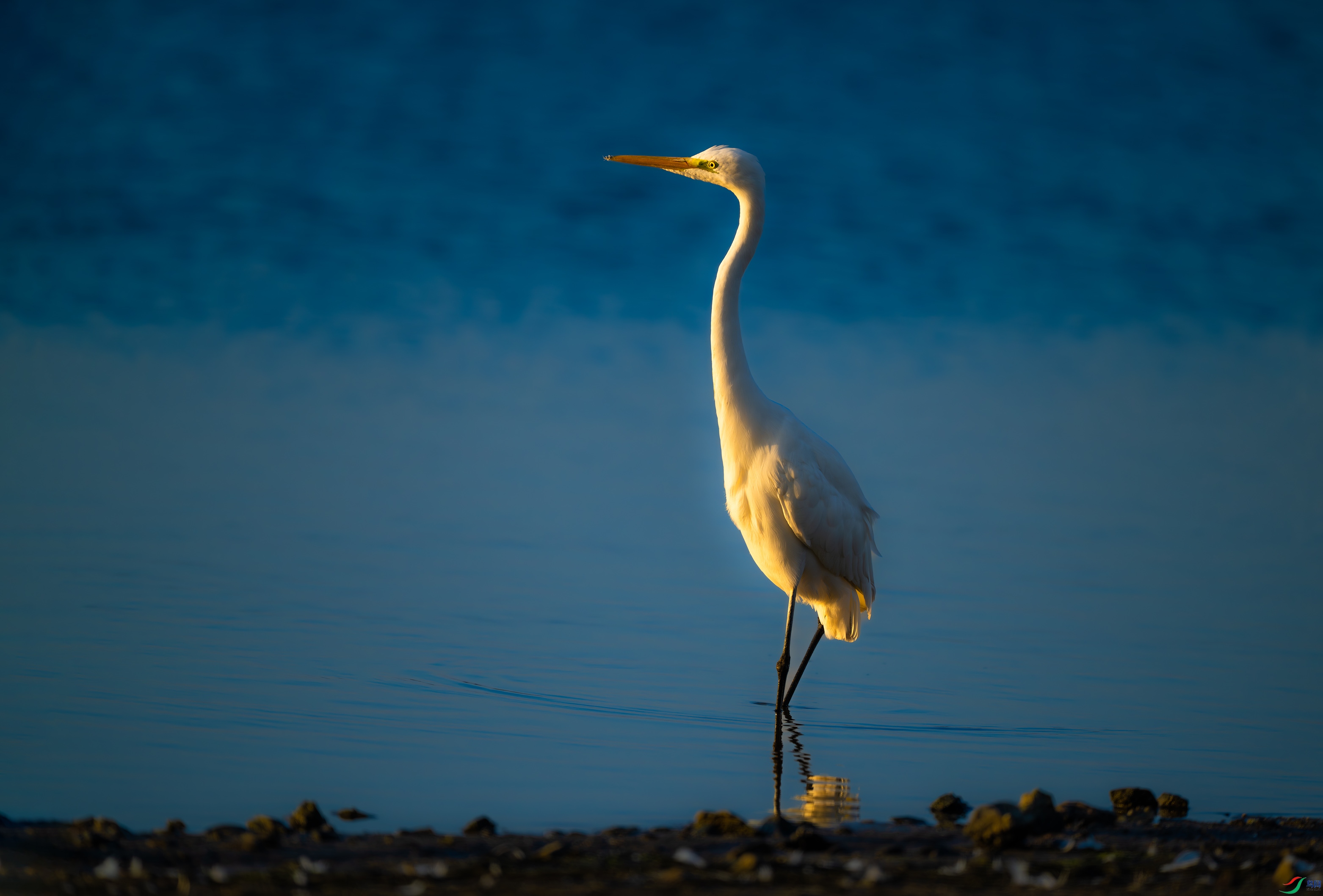 DSC_7142.jpg
