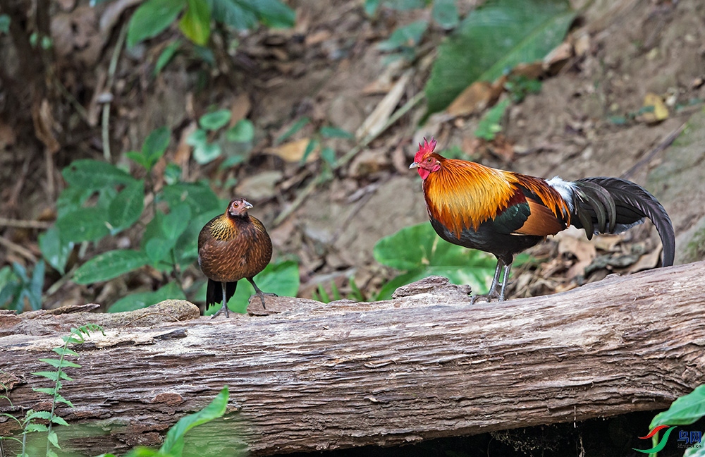 _GD_8185.jpg