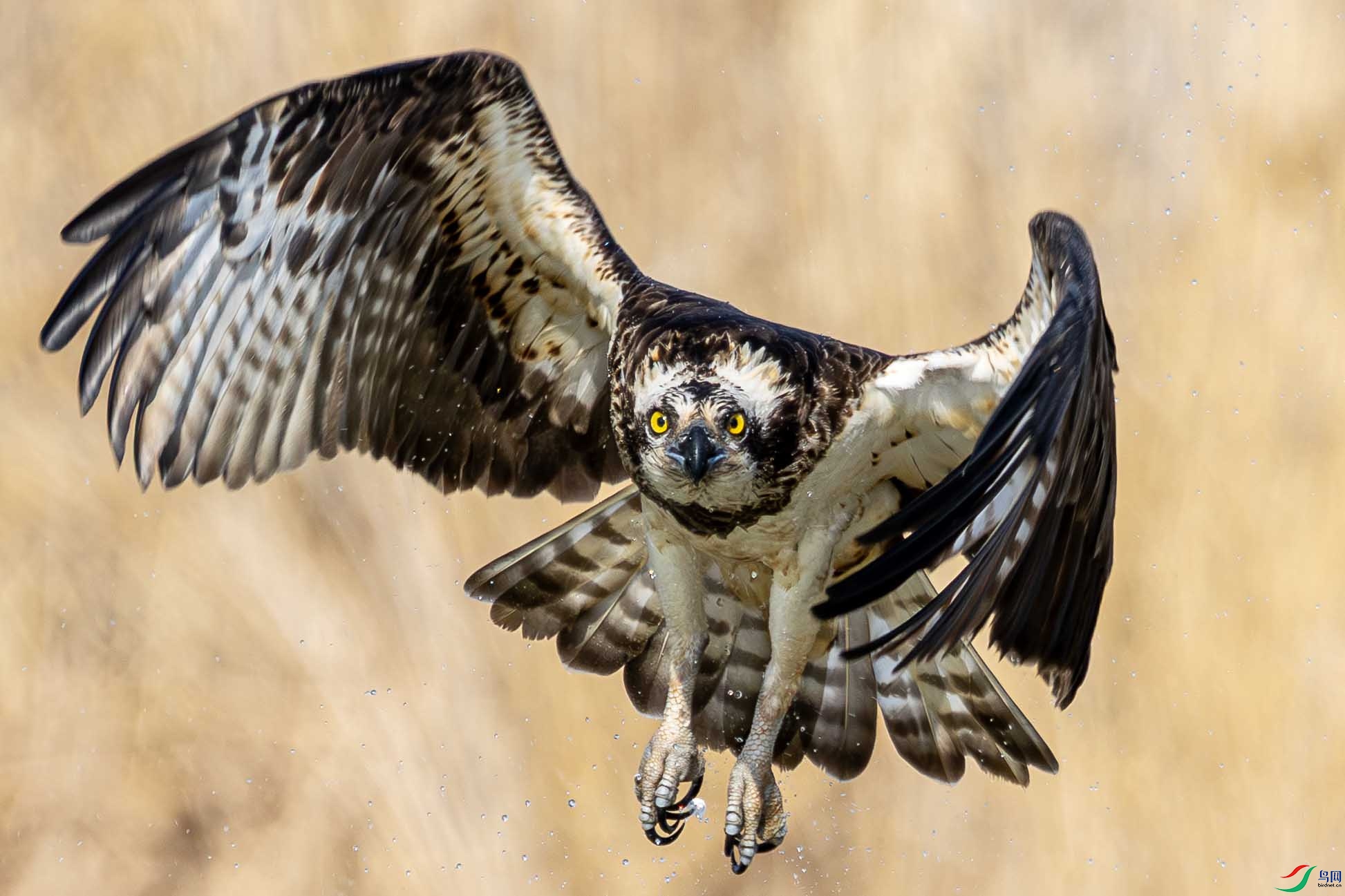 107A6497 ����.jpg