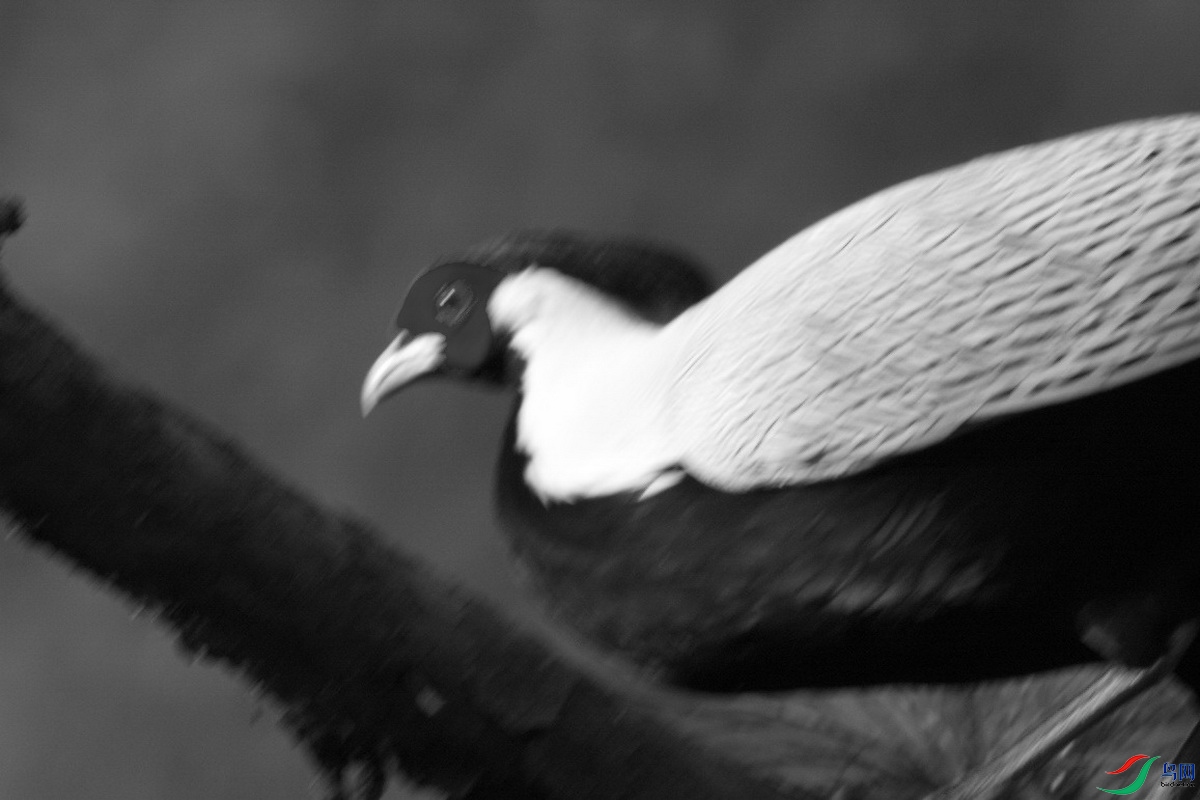 _DSC2028m_������С.jpg