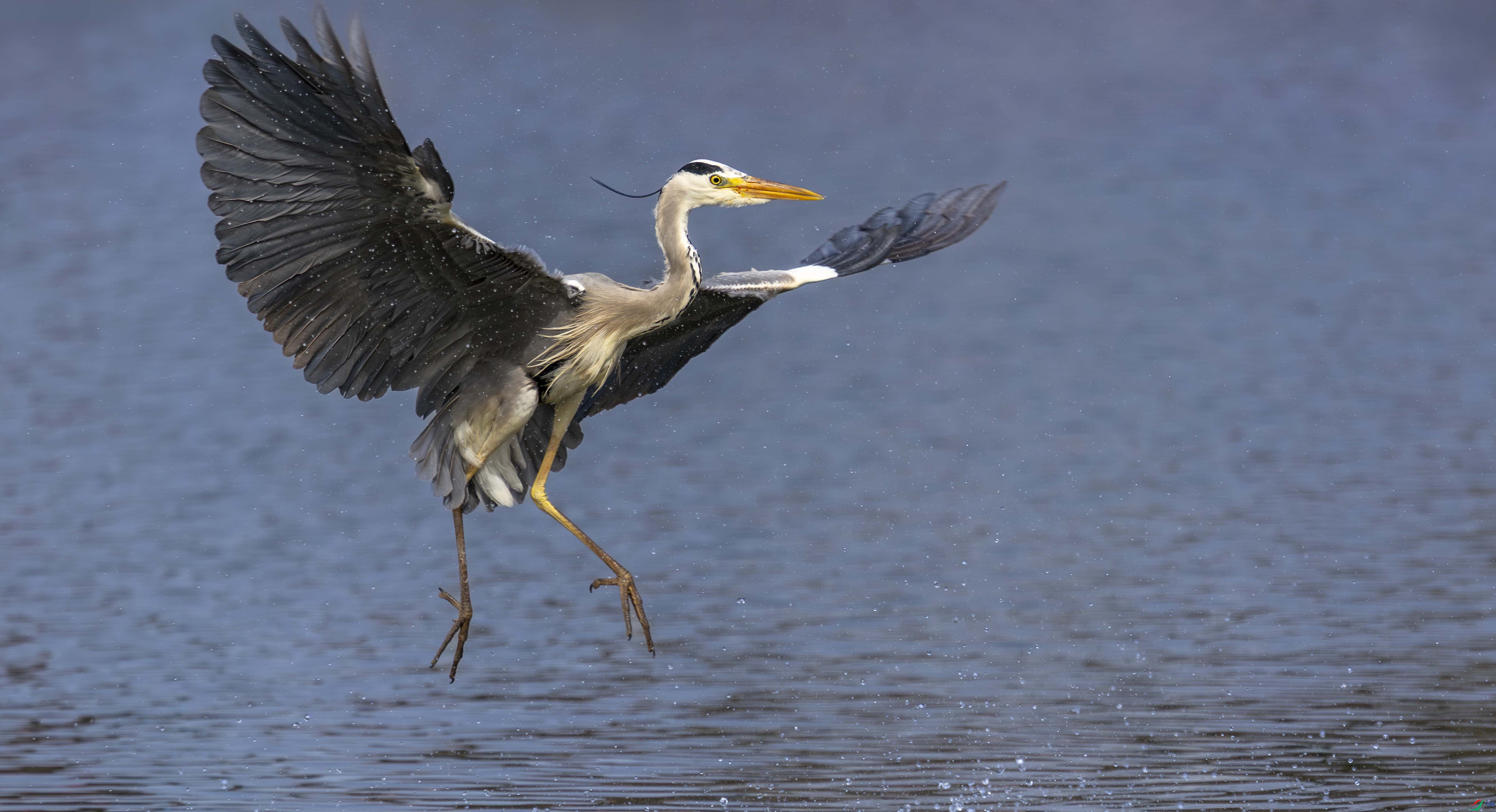 5N2A5918-1 ���� 2.jpg