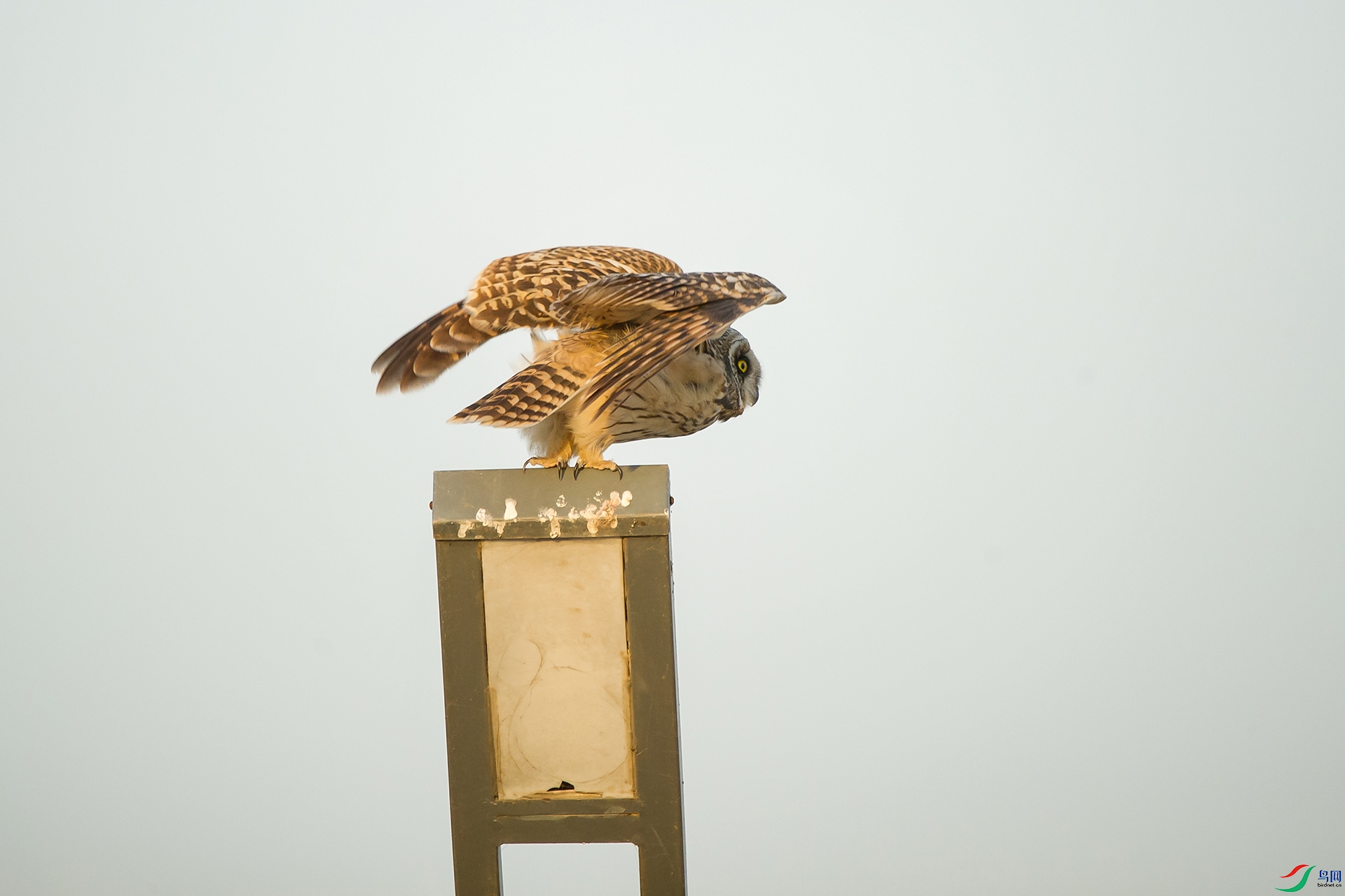 DSC_1124-20201222�ü�.jpg