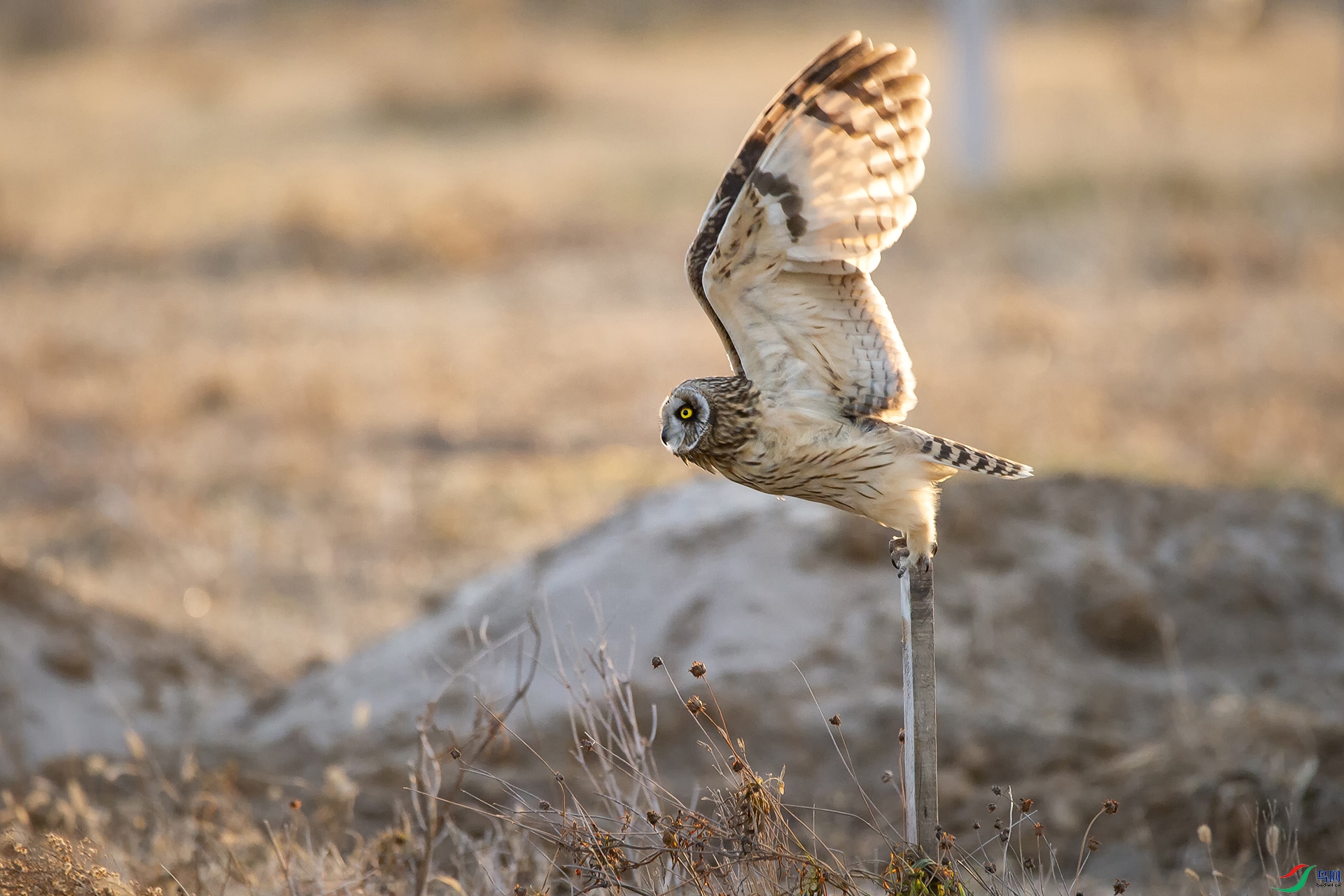 DSC_1130-20201222�ü�.jpg