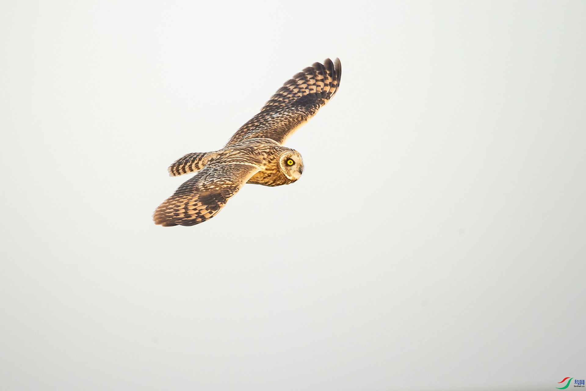 DSC_1135-20201222�ü�.jpg