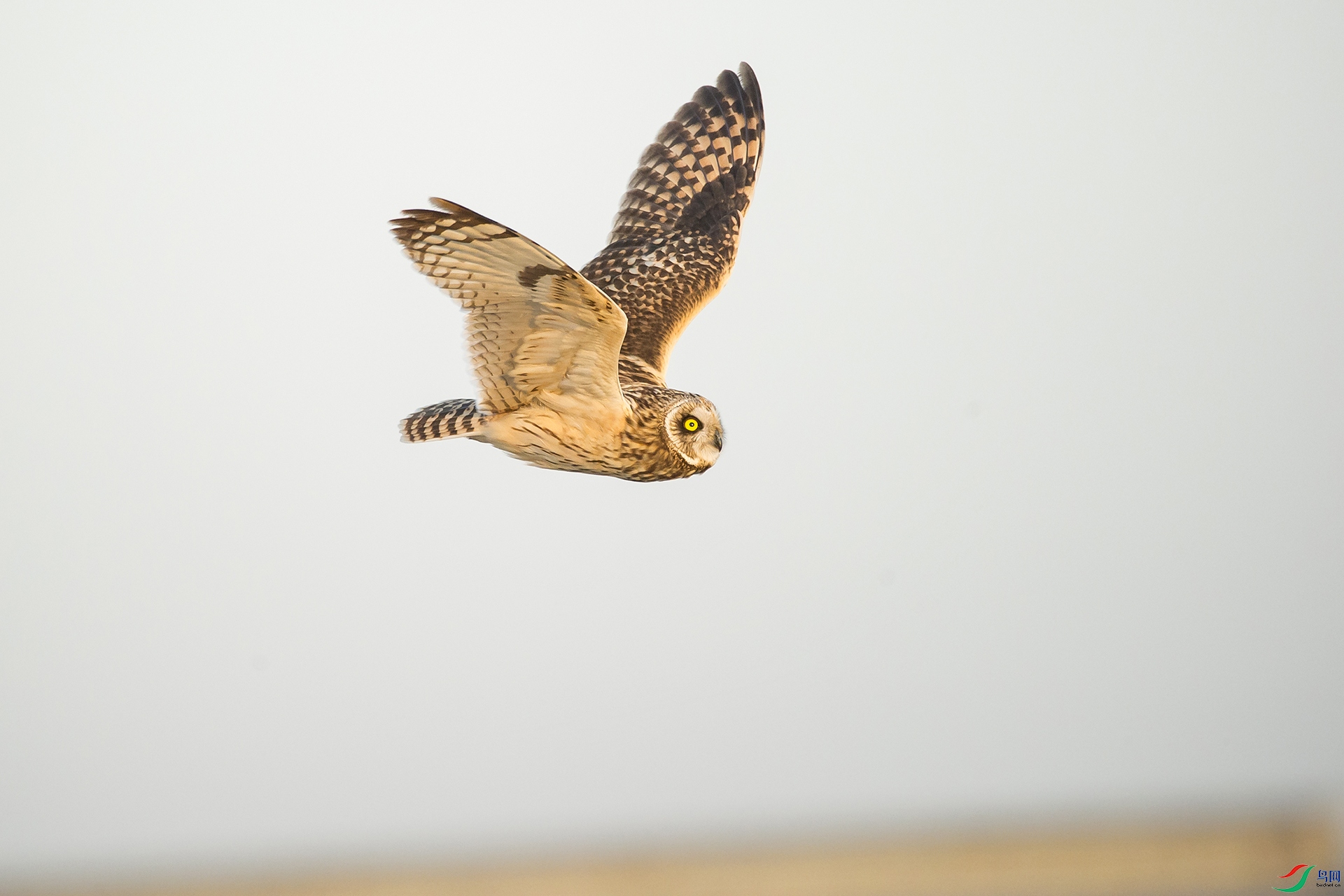 DSC_1137-20201222�ü�.jpg