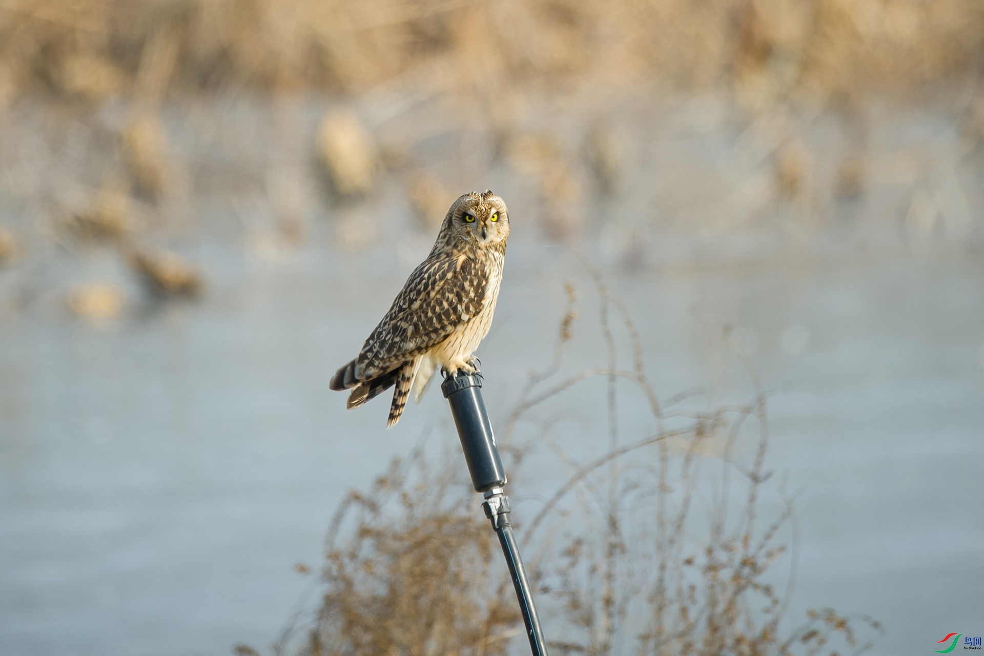 DSC_1216-20201221�ü�.jpg