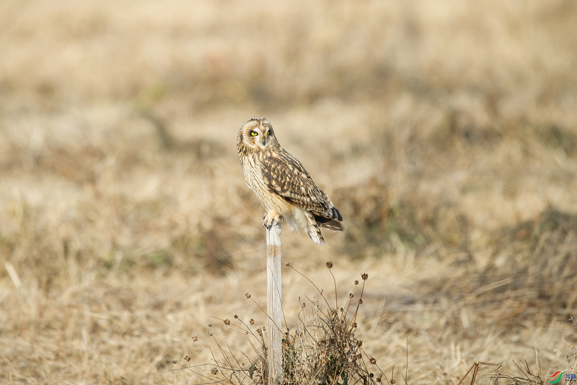 DSC_1225-20201221�ü�.jpg