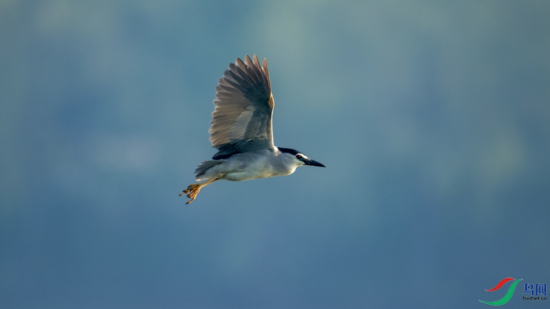 DSC_5262.jpg