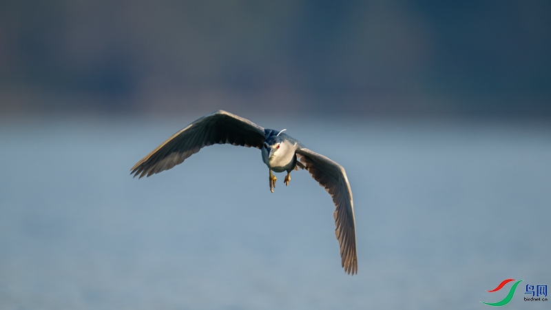 DSC_5360.jpg